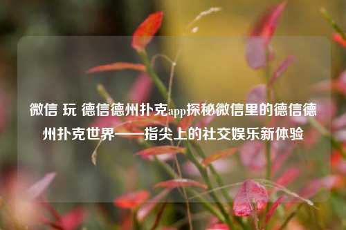 微信 玩 德信德州扑克app探秘微信里的德信德州扑克世界——指尖上的社交娱乐新体验