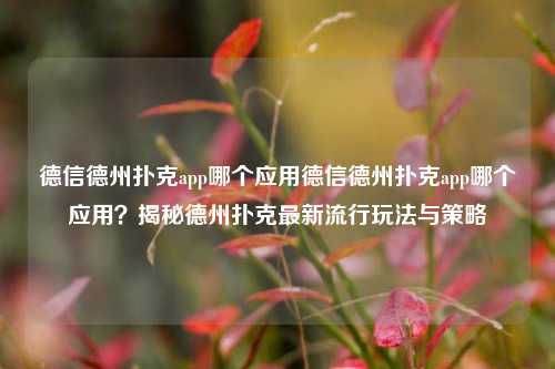 德信德州扑克app哪个应用德信德州扑克app哪个应用？揭秘德州扑克最新流行玩法与策略