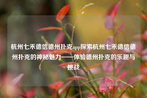 杭州七禾德信德州扑克app探索杭州七禾德信德州扑克的神秘魅力——体验德州扑克的乐趣与挑战