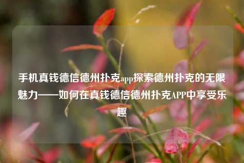 手机真钱德信德州扑克app探索德州扑克的无限魅力——如何在真钱德信德州扑克APP中享受乐趣