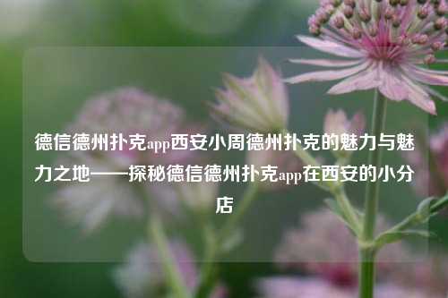 德信德州扑克app西安小周德州扑克的魅力与魅力之地——探秘德信德州扑克app在西安的小分店