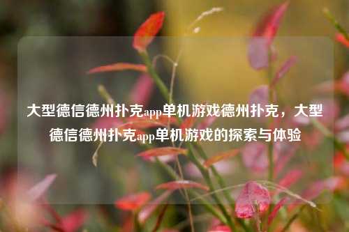 大型德信德州扑克app单机游戏德州扑克，大型德信德州扑克app单机游戏的探索与体验