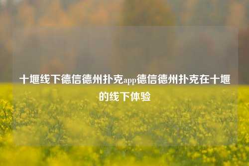 十堰线下德信德州扑克app德信德州扑克在十堰的线下体验