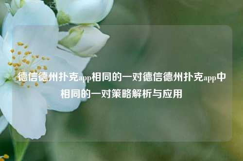 德信德州扑克app相同的一对德信德州扑克app中相同的一对策略解析与应用