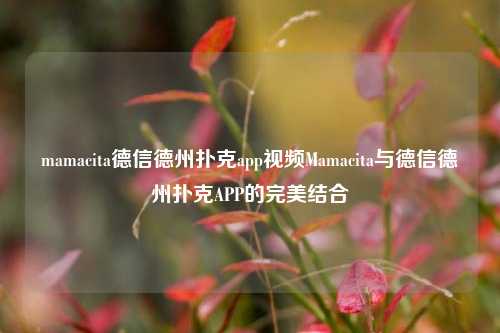mamacita德信德州扑克app视频Mamacita与德信德州扑克APP的完美结合