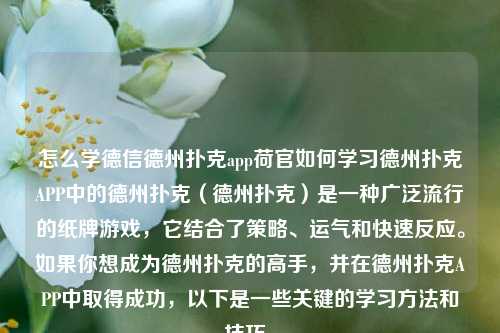 怎么学德信德州扑克app荷官如何学习德州扑克APP中的德州扑克（德州扑克）是一种广泛流行的纸牌游戏，它结合了策略、运气和快速反应。如果你想成为德州扑克的高手，并在德州扑克APP中取得成功，以下是一些关键的学习方法和技巧。