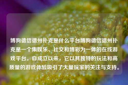 博狗德信德州扑克是什么平台博狗德信德州扑克是一个集娱乐、社交和博彩为一体的在线游戏平台。自成立以来，它以其独特的玩法和高质量的游戏体验吸引了大量玩家的关注与支持。