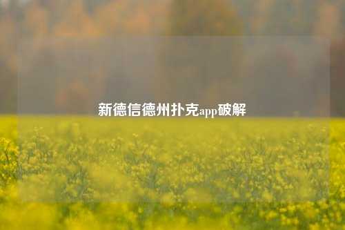新德信德州扑克app破解