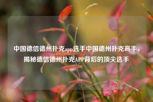 中国德信德州扑克app选手中国德州扑克高手，揭秘德信德州扑克APP背后的顶尖选手