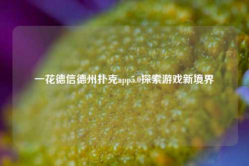 一花德信德州扑克app5.0探索游戏新境界