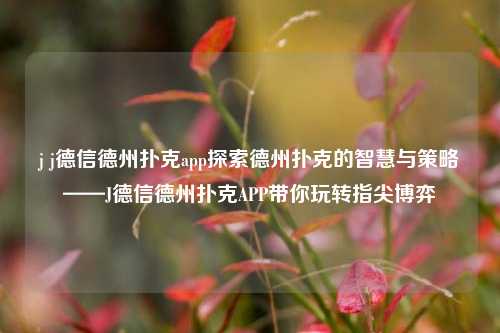 j j德信德州扑克app探索德州扑克的智慧与策略——J德信德州扑克APP带你玩转指尖博弈