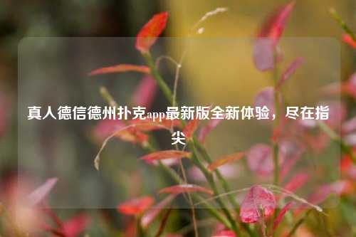 真人德信德州扑克app最新版全新体验，尽在指尖