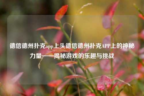 德信德州扑克app上头德信德州扑克APP上的神秘力量——揭秘游戏的乐趣与挑战
