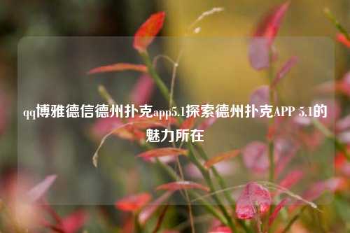 qq博雅德信德州扑克app5.1探索德州扑克APP 5.1的魅力所在