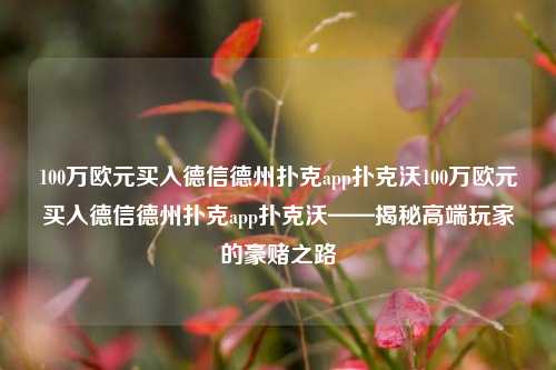 100万欧元买入德信德州扑克app扑克沃100万欧元买入德信德州扑克app扑克沃——揭秘高端玩家的豪赌之路