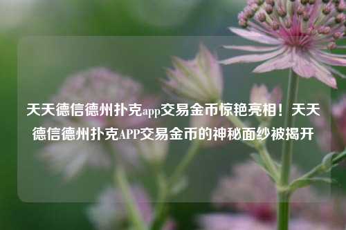 天天德信德州扑克app交易金币惊艳亮相！天天德信德州扑克APP交易金币的神秘面纱被揭开
