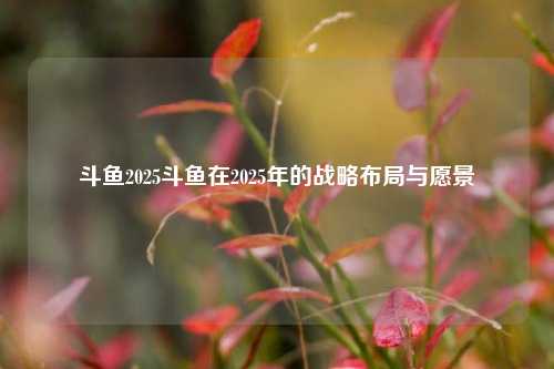 斗鱼2025斗鱼在2025年的战略布局与愿景