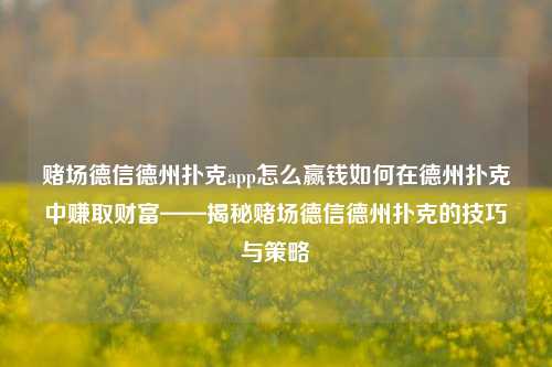 赌场德信德州扑克app怎么赢钱如何在德州扑克中赚取财富——揭秘赌场德信德州扑克的技巧与策略