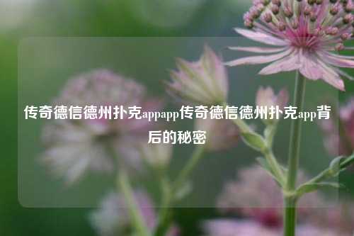 传奇德信德州扑克appapp传奇德信德州扑克app背后的秘密