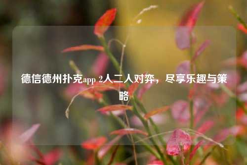 德信德州扑克app 2人二人对弈，尽享乐趣与策略