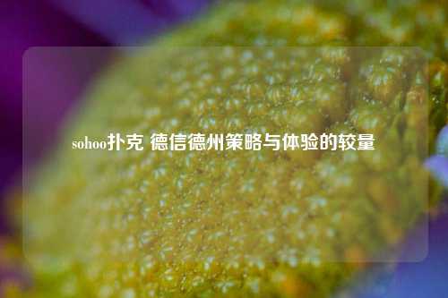 sohoo扑克 德信德州策略与体验的较量