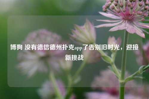 博狗 没有德信德州扑克app了告别旧时光，迎接新挑战