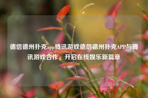 德信德州扑克app腾讯游戏德信德州扑克APP与腾讯游戏合作，开启在线娱乐新篇章