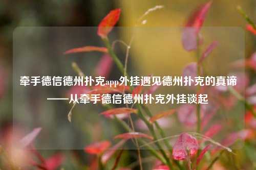 牵手德信德州扑克app外挂遇见德州扑克的真谛——从牵手德信德州扑克外挂谈起
