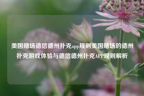 美国赌场德信德州扑克app规则美国赌场的德州扑克游戏体验与德信德州扑克APP规则解析