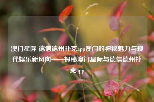 澳门星际 德信德州扑克app澳门的神秘魅力与现代娱乐新风向——探秘澳门星际与德信德州扑克app