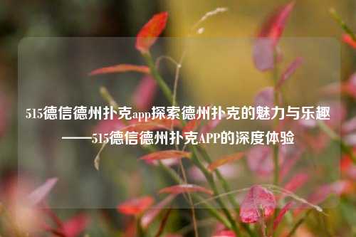 515德信德州扑克app探索德州扑克的魅力与乐趣——515德信德州扑克APP的深度体验