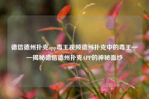 德信德州扑克app毒王视频德州扑克中的毒王——揭秘德信德州扑克APP的神秘面纱